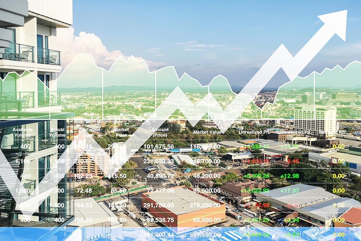 Capitl's guide to investing